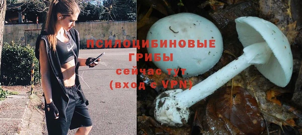 дурь Балабаново